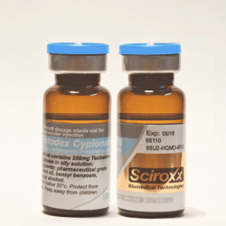 Testodex C 250mg | Testosterone Cypionate For Sale Canada & Worldwide